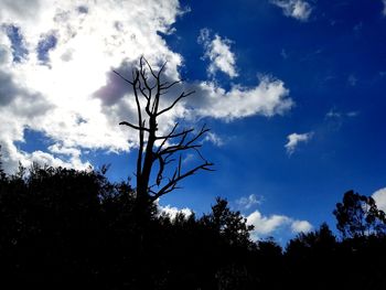 Low angle view of tree against cloudy sky