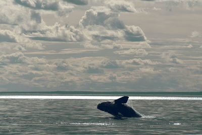 Man swimming in sea against sky