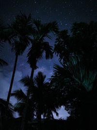 Low angle view of palm trees against sky at night
