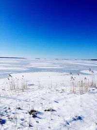 Scenic view of snow covered land against clear blue sky