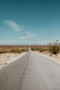 Endless road to horizon, joshua tree national park, california