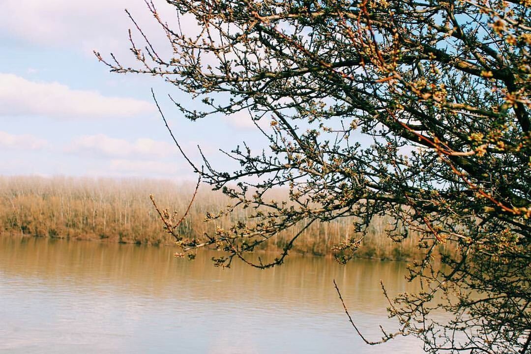 SCENIC VIEW OF CALM LAKE AGAINST SKY