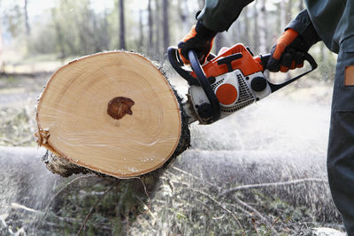 Man sawing tree