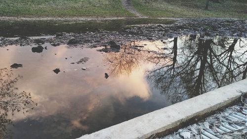 High angle view of lake amidst trees