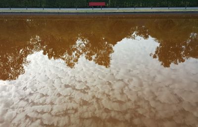 Reflection of tree in water