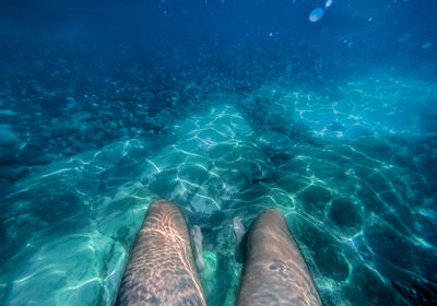 Legs of a man under water on the coast of abkhazia