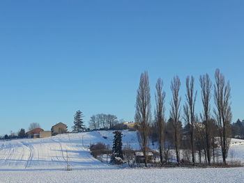 Scenic view of field against clear blue sky during winter
