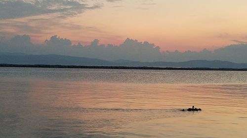 Scenic view of sea during sunset