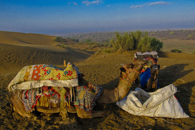 People sitting in a desert