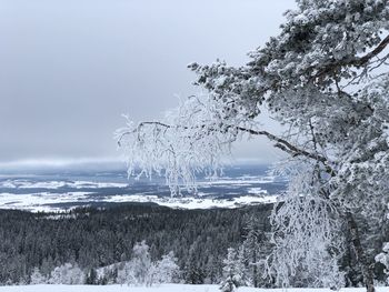 Scenic view of frozen sea against sky