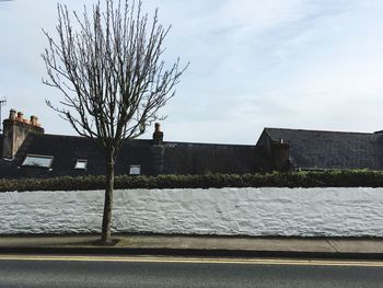 Bare tree and buildings against sky during winter