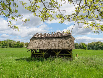 Maasholm village in germany