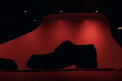 Silhouette shoe in illuminated red light at store