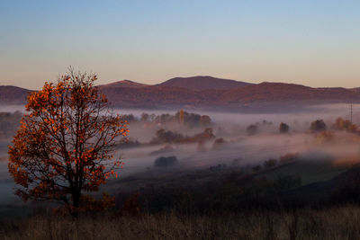 Scenic view of landscape against sky during sunrise