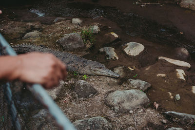 High angle view of hand on rock