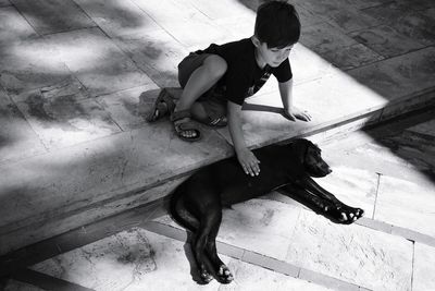 High angle view of dog sitting on floor