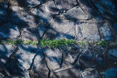 Full frame shot of wall with shadow