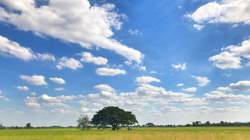 Scenic view of field against sky