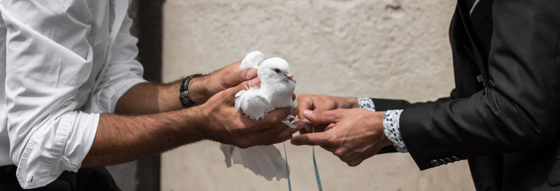 Close-up of holding hands