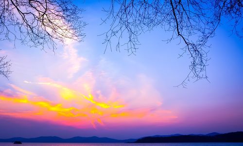 Silhouette bare tree against sky at sunset