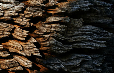 Full frame shot of rocks