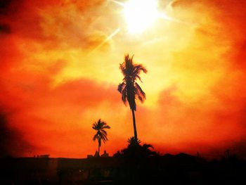 Silhouette of trees at sunset