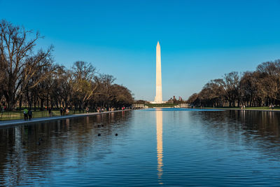 Reflection of trees in water