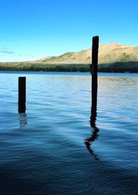Wooden posts in lake against clear blue sky