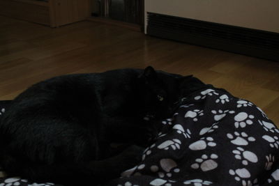 Black dog relaxing on bed at home