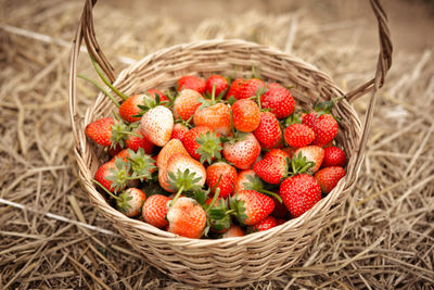 Close-up of strawberries in basket