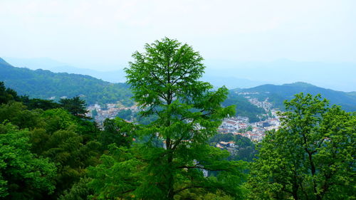 Scenic view of trees and mountains against sky