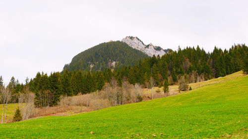 Landscape in the entlebuch unesco biosphere reserve