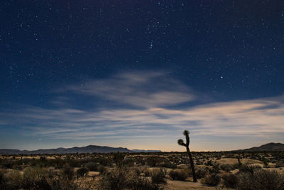 Scenic view of landscape against sky at night