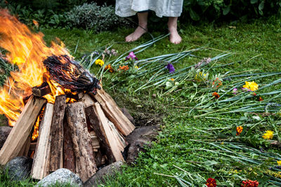 Close-up of bonfire