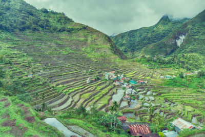 Scenic view of farm against sky