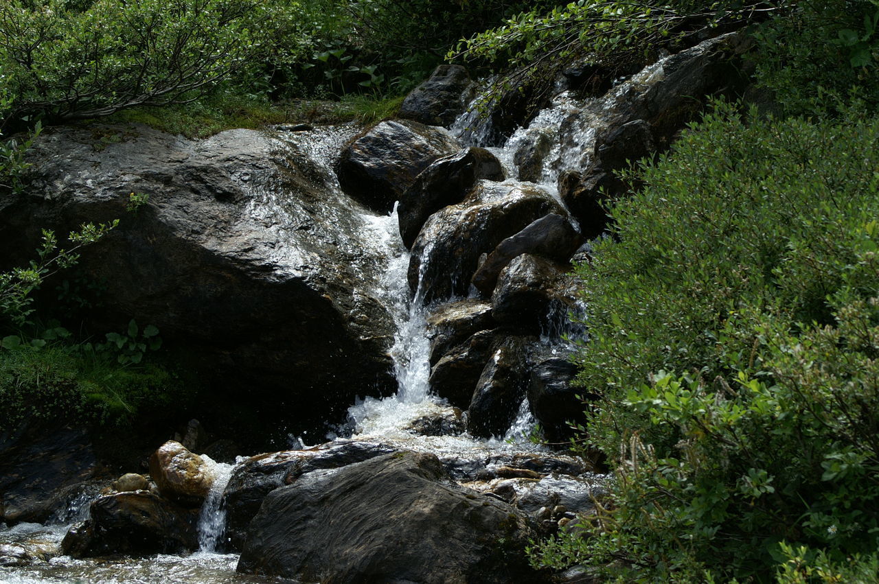 WATERFALL IN FOREST