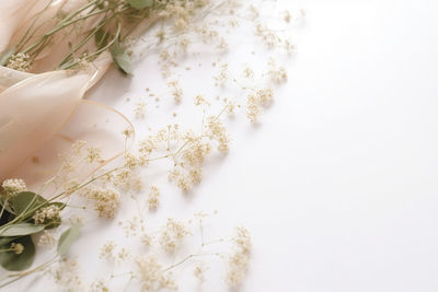 Close-up of wedding rings on white background