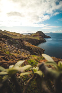 Wild nature surrounded by large cliffs in the area of ponta de sao lourenco on madeira in portugal