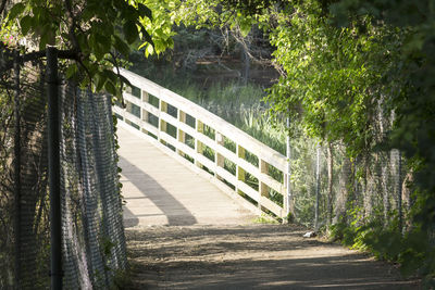 Footpath amidst trees in forest