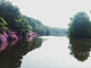 Scenic view of calm lake against clear sky