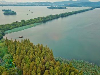High angle view of lake by trees
