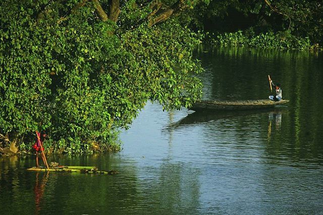 water, tree, lake, lifestyles, men, leisure activity, waterfront, river, nature, tranquility, green color, reflection, person, growth, tranquil scene, beauty in nature, plant, rippled