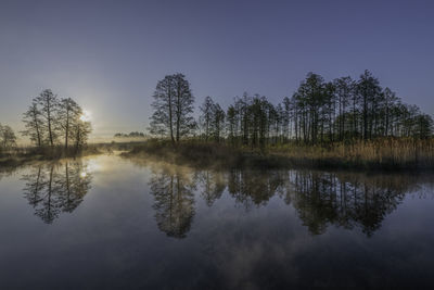 Reflection of trees on river against sky