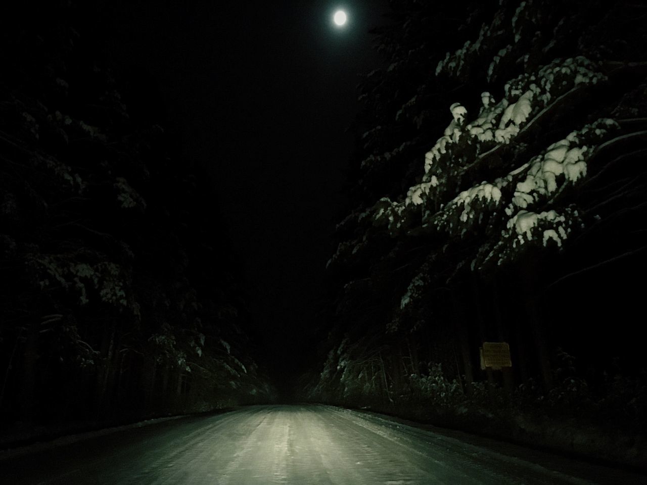 night, moon, illuminated, full moon, moonlight, dark, tree, road, star - space, astronomy, outdoors, no people, sky, nature