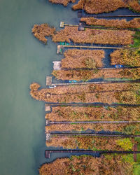 High angle view of bridge over lake during autumn