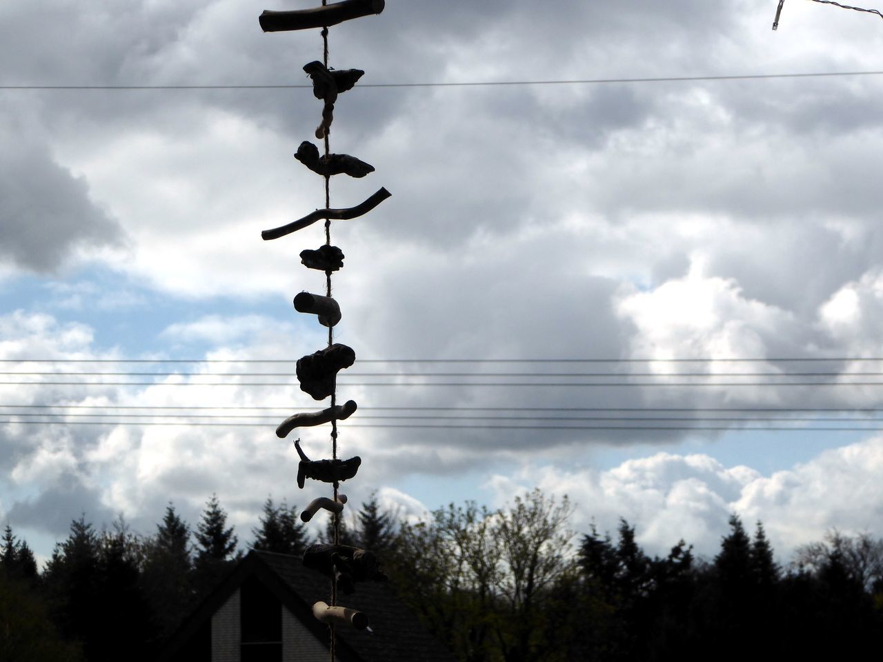 LOW ANGLE VIEW OF TREE AGAINST SKY