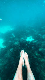 Low section of person swimming in sea