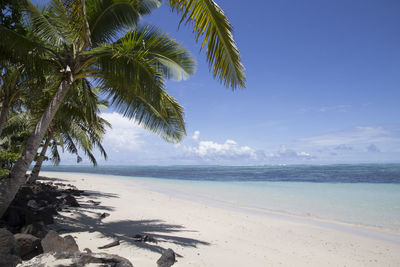 Idyllic tropical sandy beach of the south pacific islands