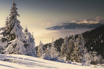 Panoramic view of snow covered mountains against sky during sunset