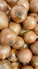 Full frame shot of onions